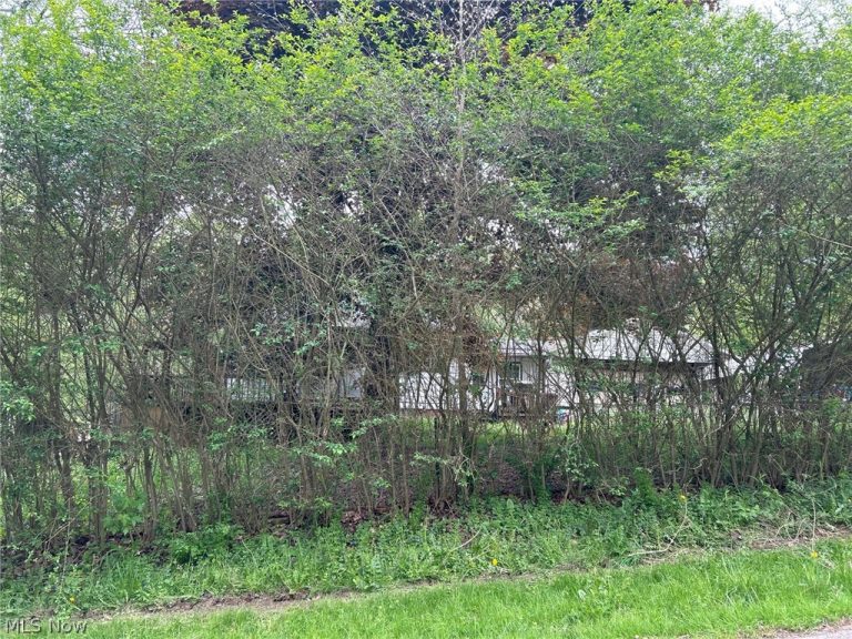 6604 Mapleton Street, East Canton, OH - Photo 3