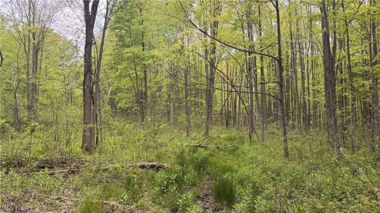 Munson Hill Road, Ashtabula, OH - Photo 2