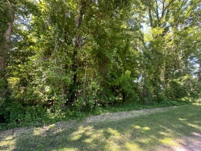 Ridge Road, Madison, OH - Photo 5
