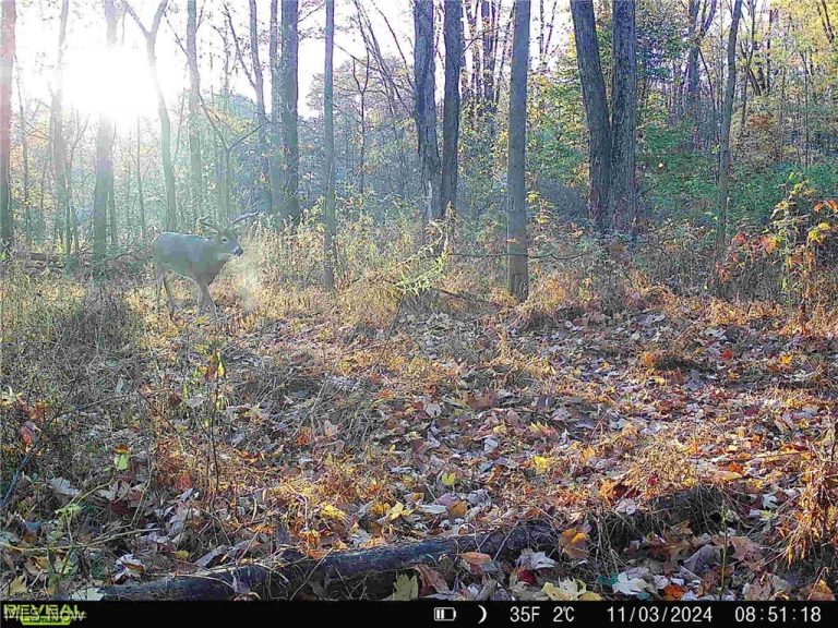 6060 Dalton Fox Lake Road, North Lawrence, OH - Photo 6