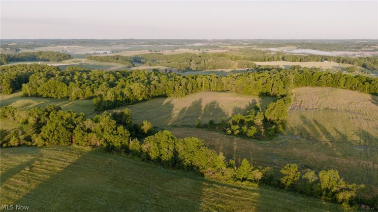 Apollo Road, Salineville, OH - Photo 4