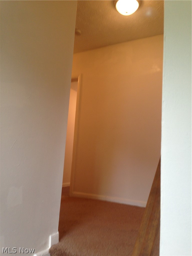 324 Miller Avenue, Akron, OH - Photo 8