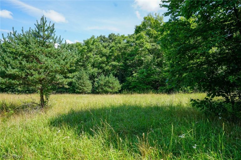 235 Butterbean Ridge Rd, Philo, OH - Photo 2