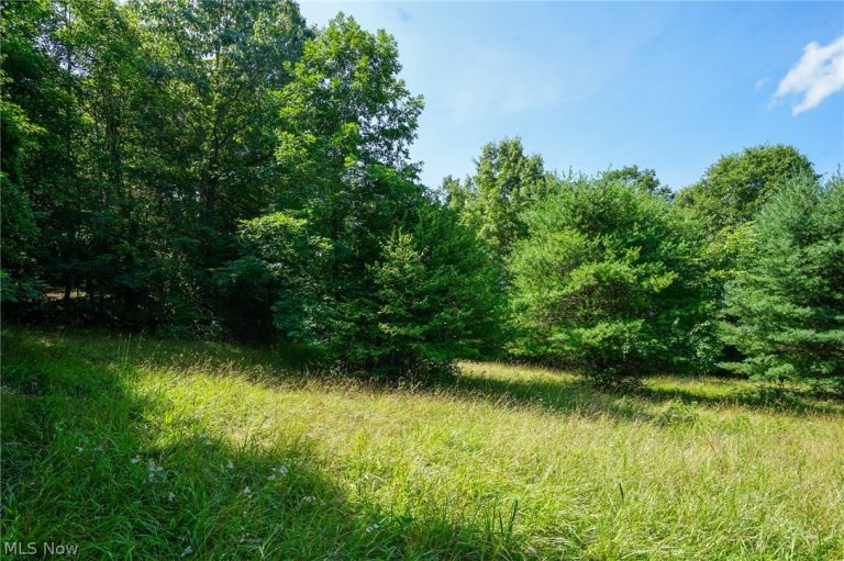 235 Butterbean Ridge Rd, Philo, OH - Photo 3
