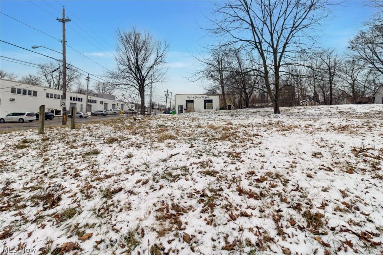 358 Rocky River Drive, Berea, OH - Photo 4