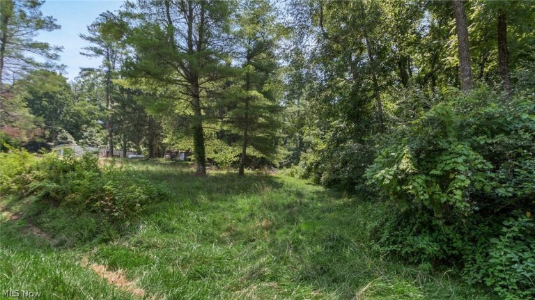 3200 Woodyard Road, Stockport, OH - Photo 4