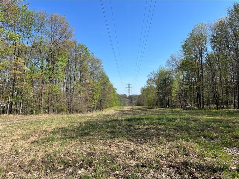 8371 French Hill Road, Bolivar, OH - Photo 3