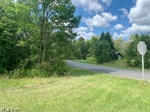 Akron Road, Doylestown, OH - Photo 8