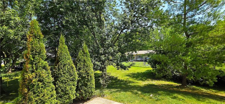 1811 Meadowland Drive, Brunswick, OH - Photo 4