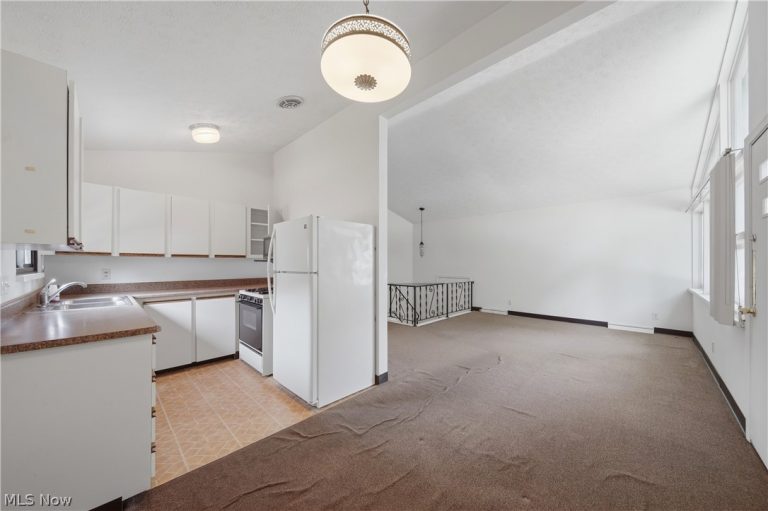 1320 Carnegie Avenue, Akron, OH - Photo 8