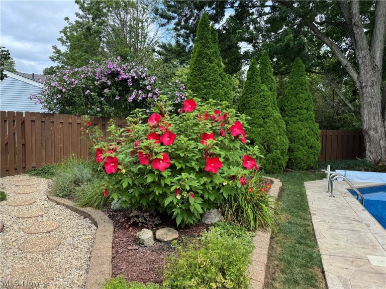 559 Berkshire Drive, Medina, OH - Photo 5