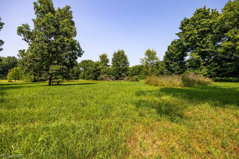 11113 Harmon Road, Berlin Heights, OH - Photo 4