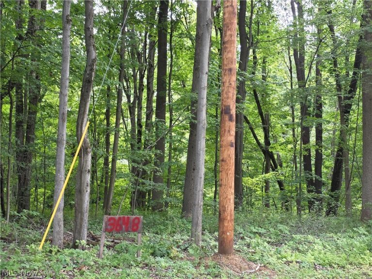3648 Woodside, Geneva, OH, 44041