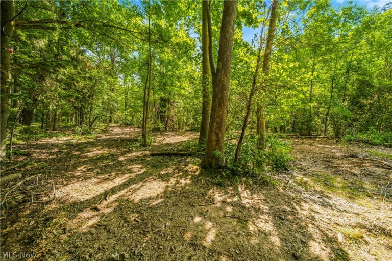Hanna Road, Willoughby Hills, OH - Photo 5