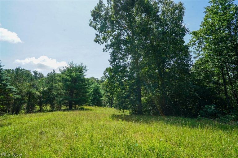 235 Butterbean Ridge Rd, Philo, OH - Photo 4