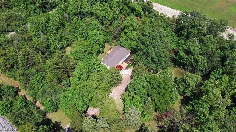 522 Monaghan Road, Kelleys Island, OH - Photo 3