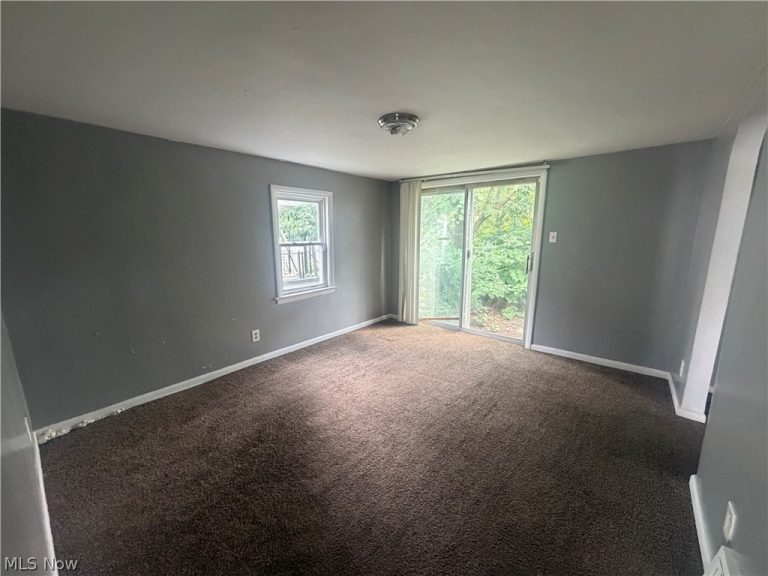 509 Lucy Street, Akron, OH - Photo 8
