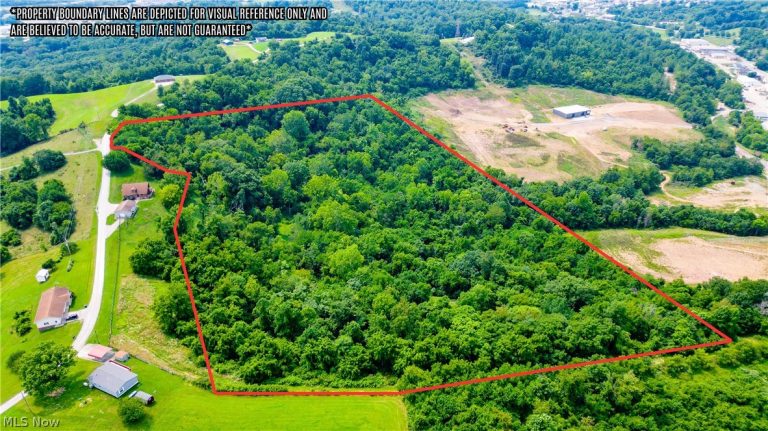 Davis Ridge, Caldwell, OH - Photo 4
