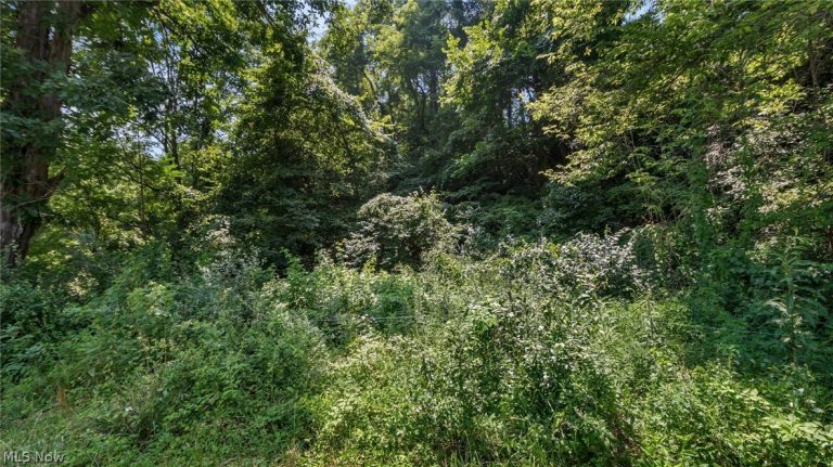 3200 Woodyard Road, Stockport, OH - Photo 3