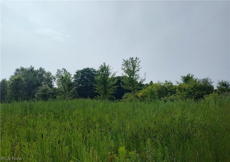 VL Mcmackin Road, Madison, OH - Photo 4