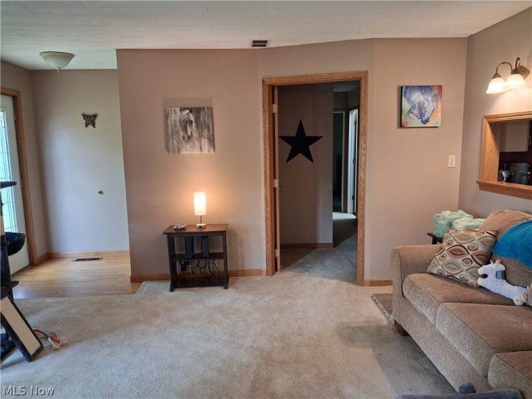 1059 State Route 303 Highway, Streetsboro, OH - Photo 8