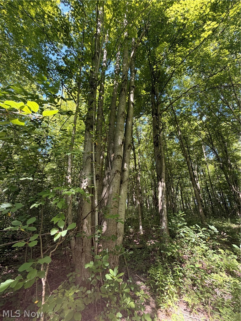 Forman Road, Rock Creek, OH - Photo 7