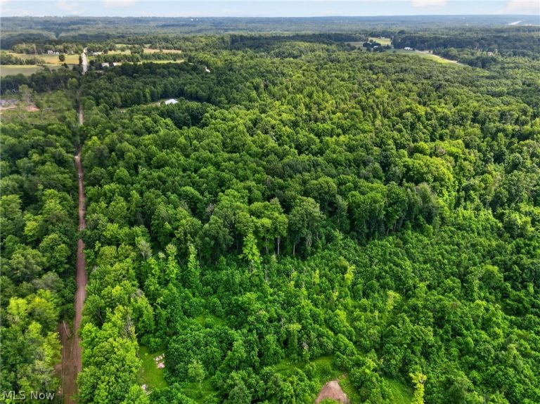 Keefus Road, Conneaut, OH - Photo 3
