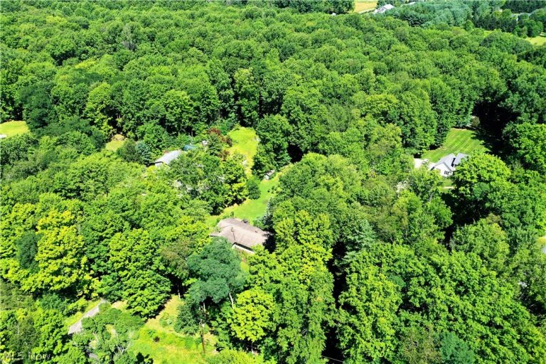 6103 Allyn Road, Hiram, OH - Photo 4
