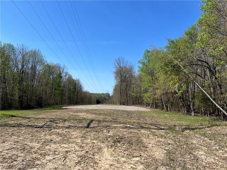 8371 French Hill Road, Bolivar, OH - Photo 4