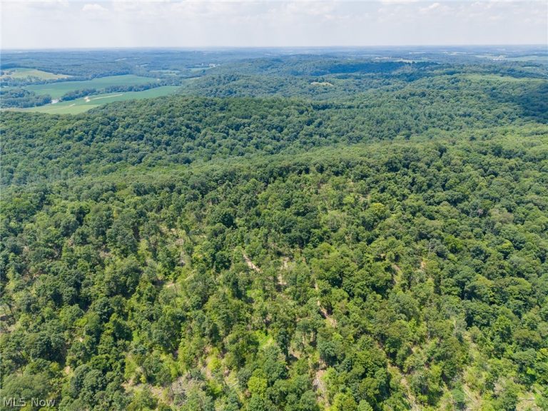 31800 Chestnut Ridge Road, Danville, OH - Photo 3