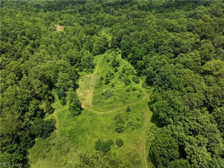 5045 Tract C E Reinersville Road, Mcconnelsville, OH - Photo 4