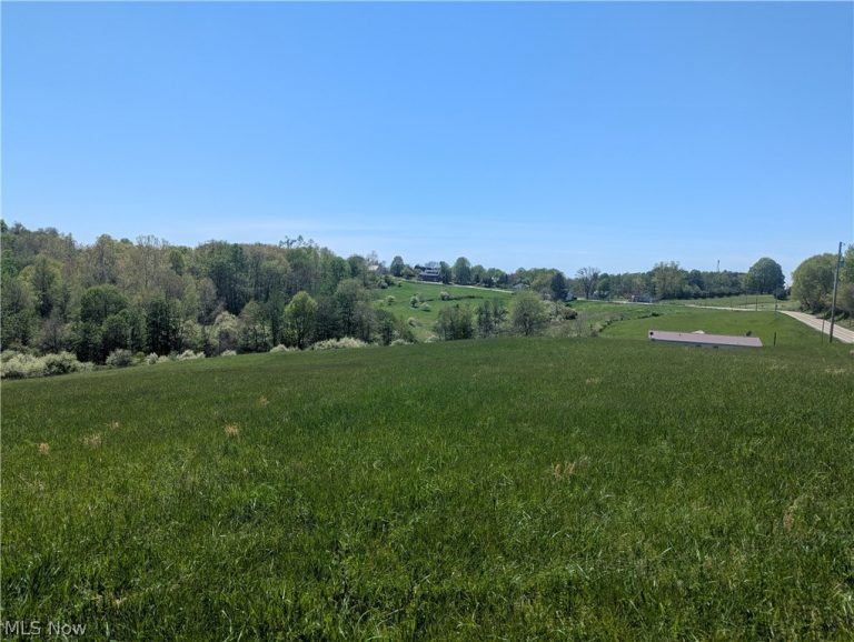 Sandy Lane, Chesterhill, OH - Photo 3