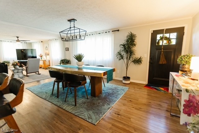 6596 Ivyhill Drive, Canal Fulton, OH - Photo 4