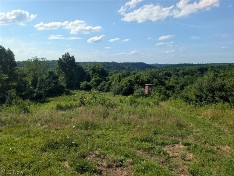5045 Tract C E Reinersville Road, Mcconnelsville, OH - Photo 5