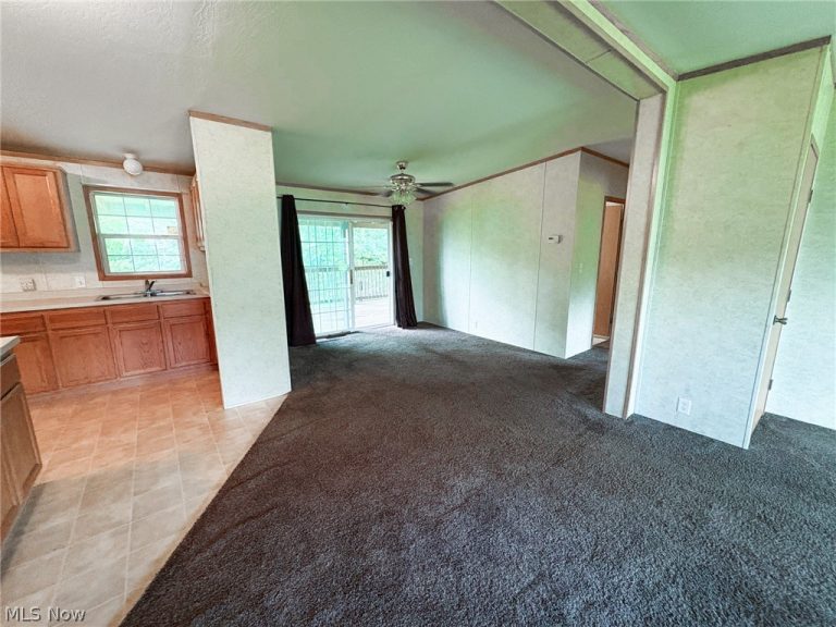 43195 South Ave Avenue, Beallsville, OH - Photo 6