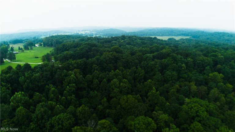Carpenter Lane, Waverly, WV - Photo 2
