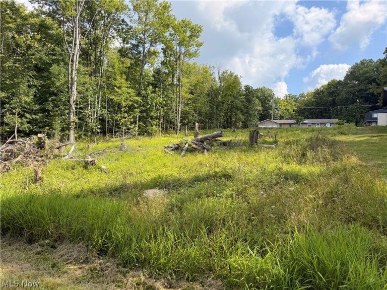 633 E Mohawk Drive, Malvern, OH - Photo 3