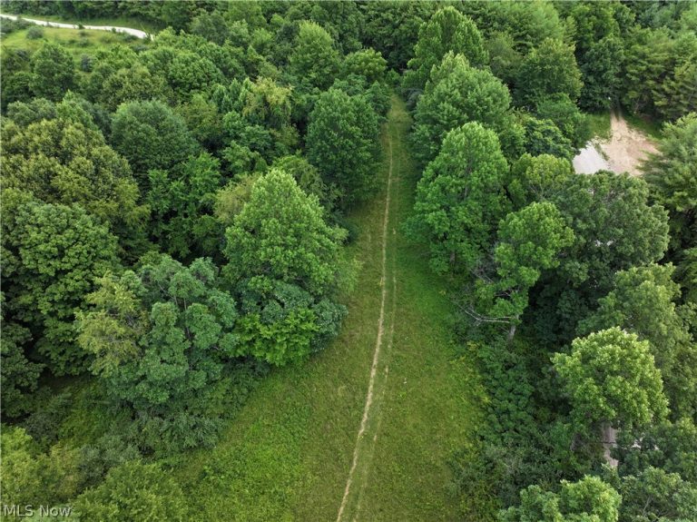 0 Tract B Brownrigg Road, Caldwell, OH - Photo 3