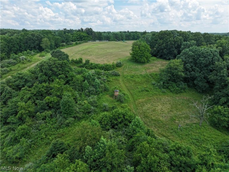 5045 Tract C E Reinersville Road, Mcconnelsville, OH - Photo 3
