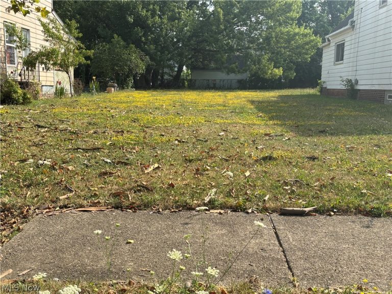 835 Whitcomb Road, Cleveland, OH - Photo 2