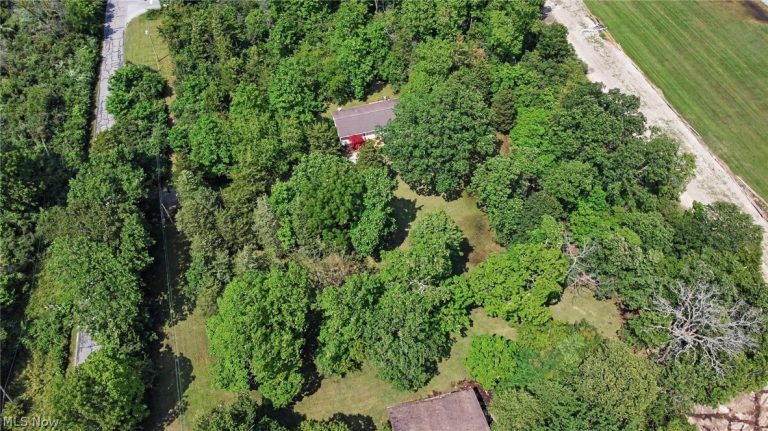 522 Monaghan Road, Kelleys Island, OH - Photo 4