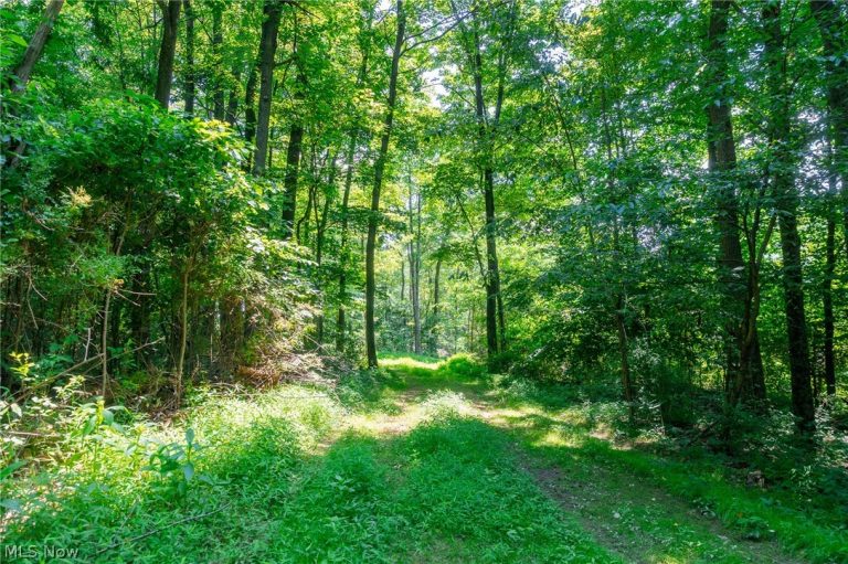 31800 Chestnut Ridge Road #1, Danville, OH - Photo 4