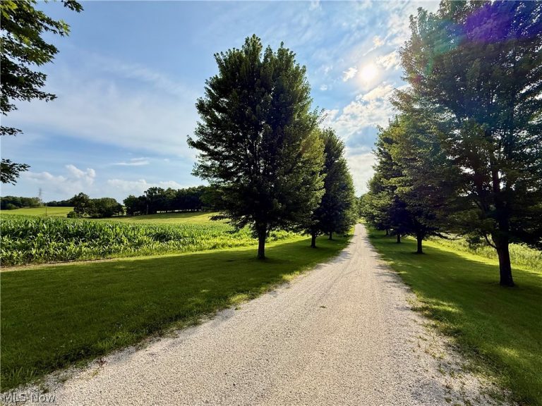 1098 Mace Road, Carrollton, OH - Photo 6