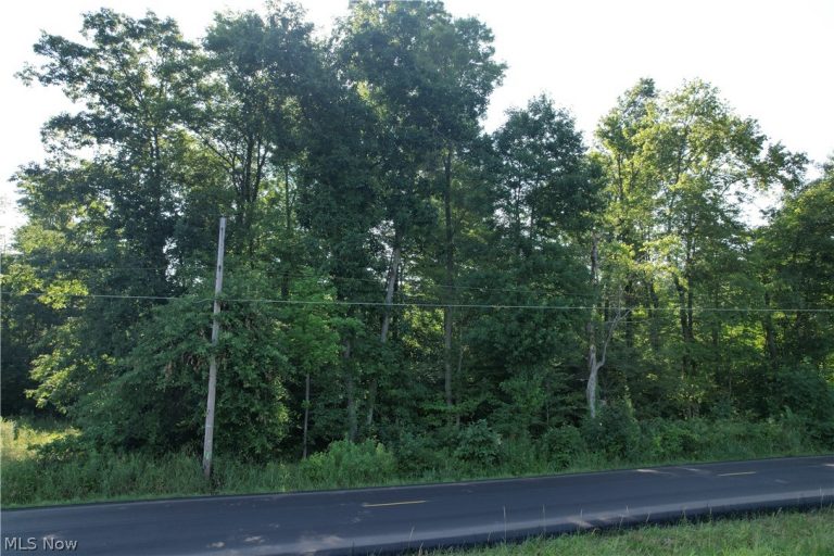 N Mahoning Portage County Lin Road, Lake Milton, OH - Photo 4
