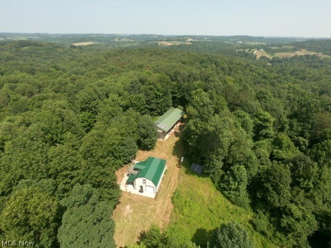 1047 Poinsettia Road, Scio, OH - Photo 6
