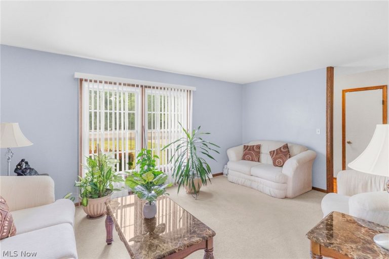 142 Navarre Avenue, Austintown, OH - Photo 6