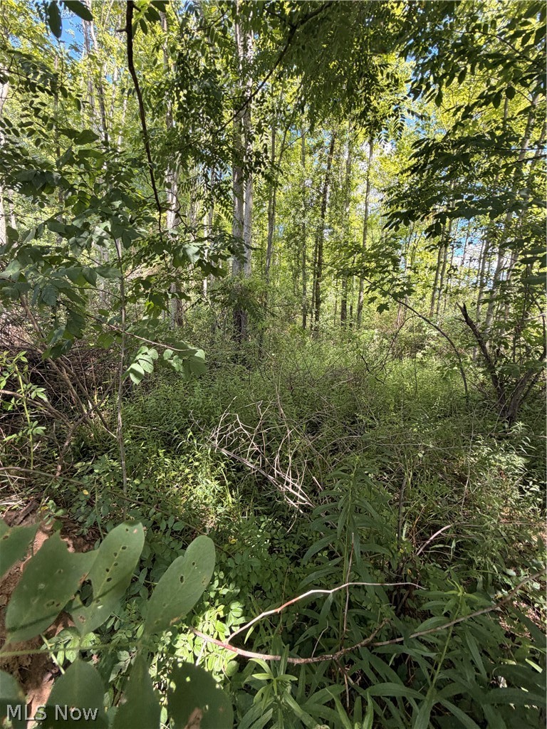 Forman Road, Rock Creek, OH - Photo 4