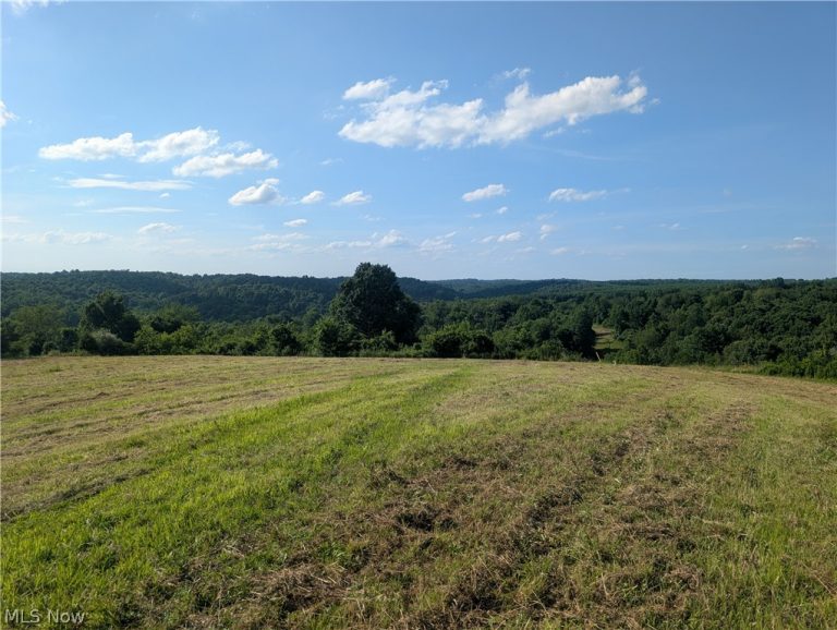 5045 Tract C E Reinersville Road, Mcconnelsville, OH - Photo 6
