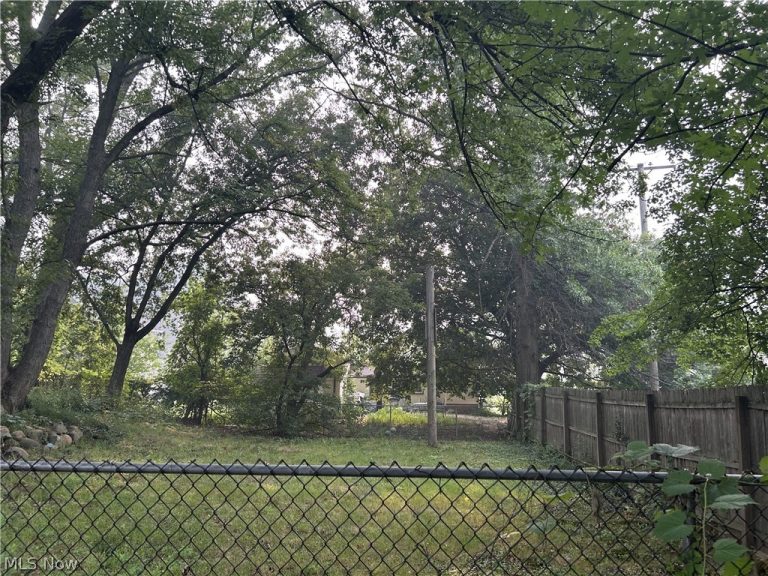 1012 Kling Street, Akron, OH - Photo 6