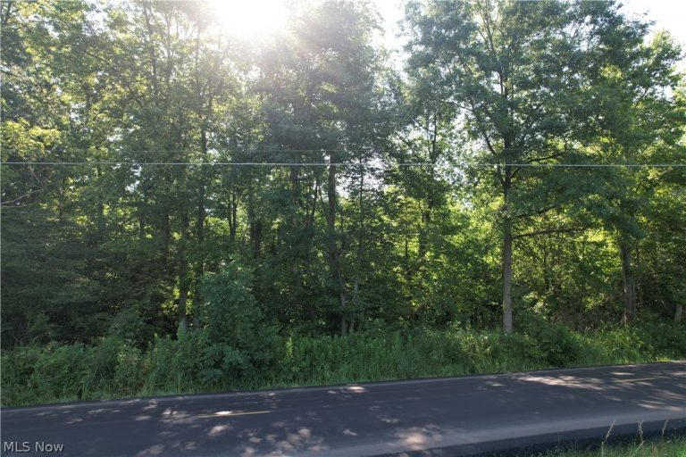 N Mahoning Portage County Lin Road, Lake Milton, OH - Photo 6